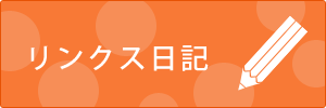 リンクス日記